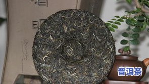 揭露普洱茶大师-揭露普洱茶大师是谁