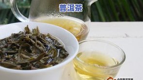 冰岛普洱茶能否煮着喝？如何煮？保存期限是多久？