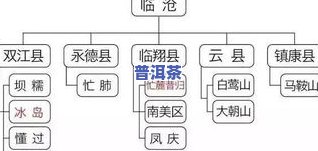 普洱茶工艺标准详解：流程、请求与分类