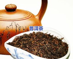 口粮普洱茶推荐：十大公认及适合人群