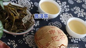 口粮普洱茶推荐：十大公认及适合人群