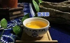 梁平普洱茶-茶坪普洱