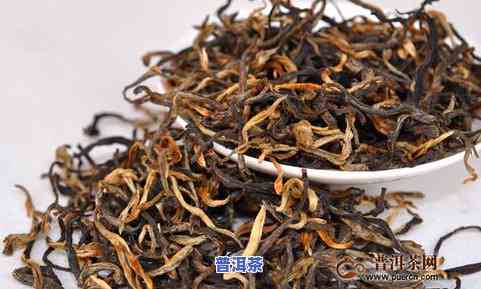 金骏眉属于啥茶-金骏眉属于啥茶种