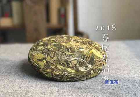 普洱茶饼要泡多久？正确冲泡方法与时间解析