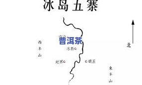 云南临沧冰岛普洱茶：价格、品种与价值全解析