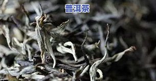 普洱茶新八大是什么意思？揭晓茶山与新全貌