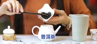 最新！普洱茶新大全，一网打尽各、品种信息