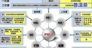 茶叶不往下沉怎么办？起因与解决方法全解析