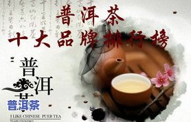 全程揭秘：普洱茶制作全过程视频教程与讲解