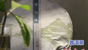 巨野普洱茶-菏泽普洱茶