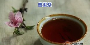 普洱茶如何在冰箱中更佳存放以保持其品质?