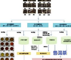 茶叶杀青的原理、方法与作用解析