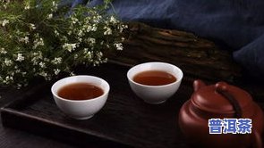 普洱茶茶毛：品种、含义及图片解析