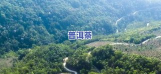 普洱著名茶山排行榜：揭秘更具名气的十大茶山