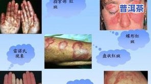 班盆普洱茶：特点与价格全解析