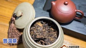 存普洱茶用什么容器？选择合适的容器对普洱茶的品质有重要影响。本文将为您介绍如何选择和使用存普洱茶的容器，以及注意事项。