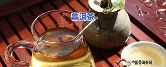 云南普洱茶产地特点详解：揭秘其独特地理环境与风味特色