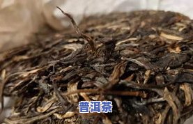 花青素含量高的普洱茶品种及特点介绍