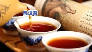 普洱茶轻发酵是什么意思？详解其特点与口感