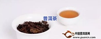 真假普洱茶：如何识别与辨别？