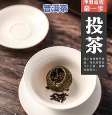 小青柑用什么普洱茶做更好？茶具选择及品鉴技巧全解析