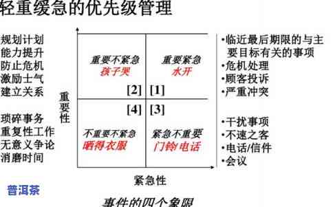 普洱茶的描述术语：了解其特性和分类