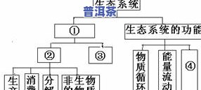 普洱茶的三种发酵形式及其原理是什么？