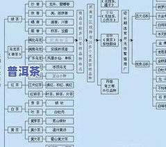 什么是普洱茶的发酵：过程、工艺、温度、期限及含义全解析