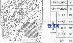 普洱茶生长的气候条件：关键作用因素与理想环境