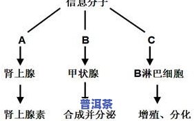 普洱茶生长的气候条件：关键作用因素与理想环境