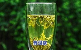 普洱茶露珠-普洱露珠绿茶价格