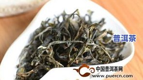 曼松普洱茶：口感特点及怎样选择好喝的品种