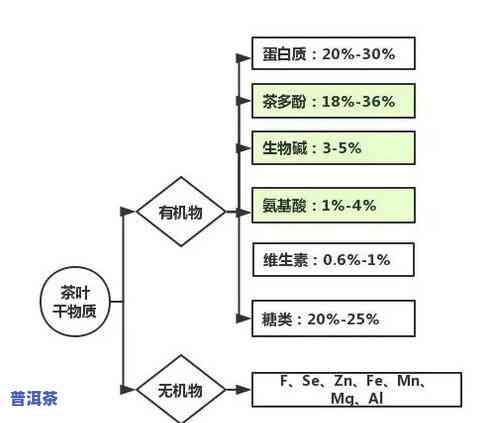 茶叶有抗氧化作用吗？探讨其原理、功效与适宜人群