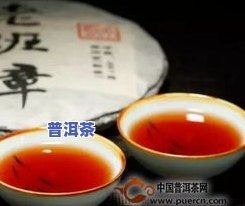 普洱茶存放多长时间：影响口感与饮用安全的关键因素