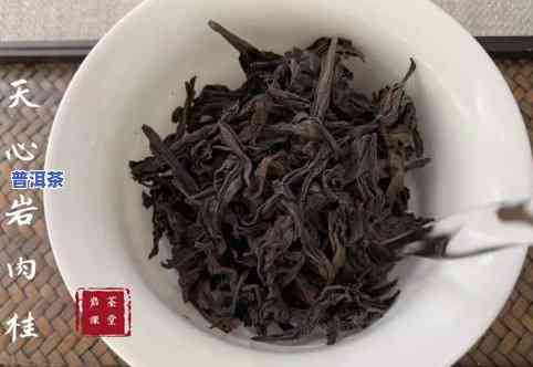 思茅茶特点：揭秘思茅茶的独特魅力与代表性品种