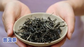 思茅茶特点：揭秘思茅茶的独特魅力与代表性品种