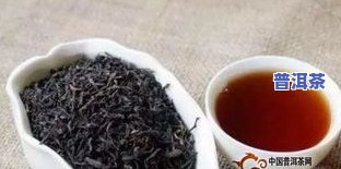 思茅普洱茶特征-思茅普洱茶特征介绍