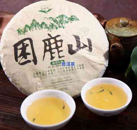 思茅普洱茶特征-思茅普洱茶特征介绍