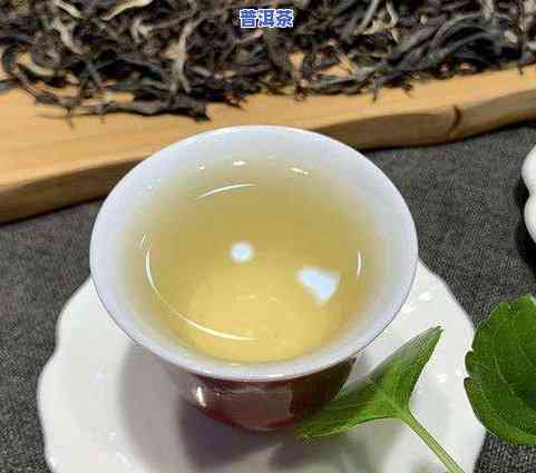 思茅普洱茶特征-思茅普洱茶特征介绍