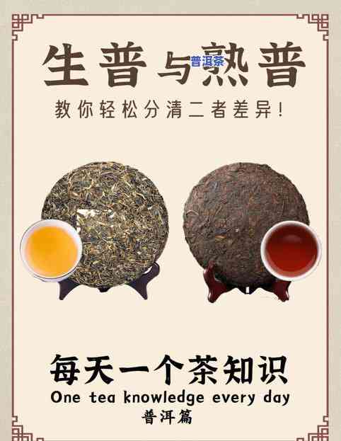 熟普洱茶怎样辨别优劣：图文/视频教程