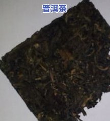 云南冰岛普洱茶生茶：价格、品种与存储全攻略