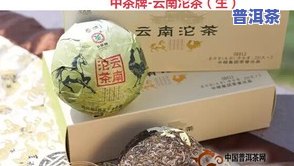 普洱茶中茶系列详细介绍：品种、排名及推荐