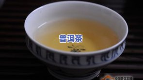 斗记普洱茶即墨旗舰店-斗记普洱茶官网