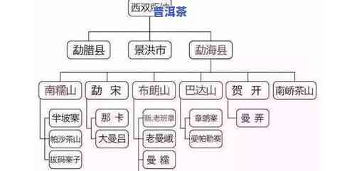 普洱茶：怎样分辨不同产区的优劣及标准？