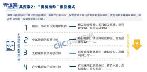 深入探索普洱茶创新形状：全面分析与研究报告