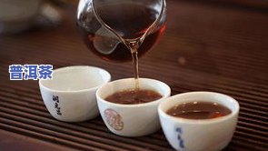 紫鹃普洱茶，品味优雅生活：探索紫鹃普洱茶的魅力