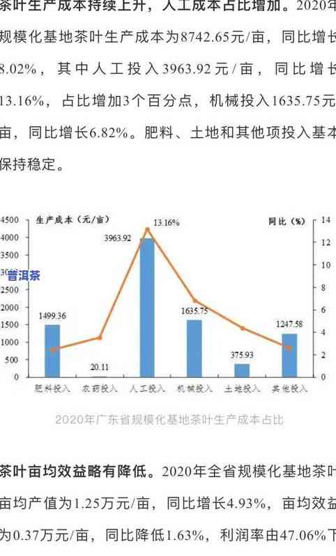 2020年茶叶市场-2020年茶叶市场行情分析