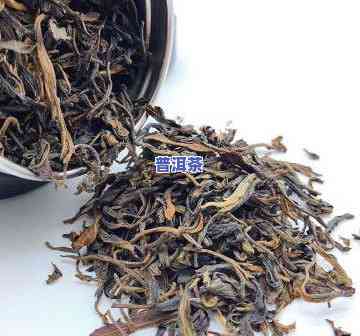 永州普洱茶-永顺普洱茶