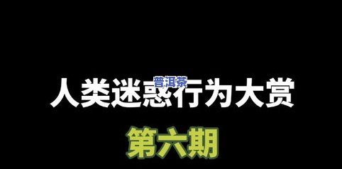 普洱茶的段子：经典语录与搞笑视频全收录