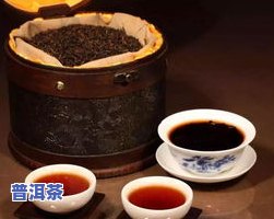 普洱茶知识段子-普洱茶知识段子大全